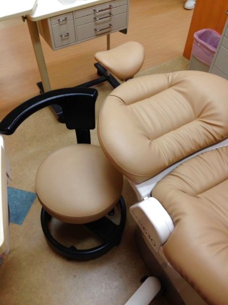 画像1: モリタ製　シグノG30　ふわもこ張替（L-1431) (1)