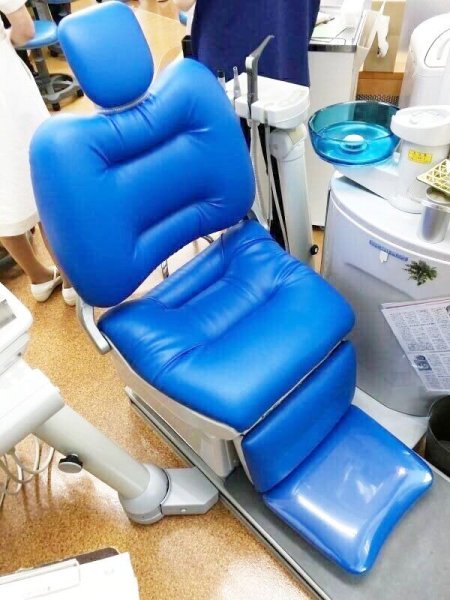 画像1: GC製　イオムプラス　ふわもこ張替　（L-8734）　 (1)