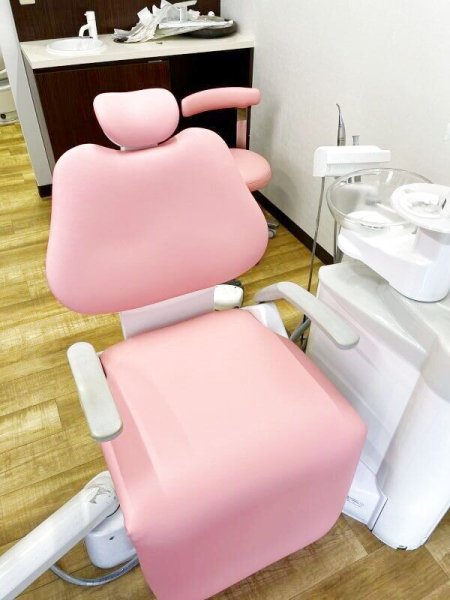 画像1: タカラ　クレール（ ロールアップ有）　通常張替（L-8679） (1)