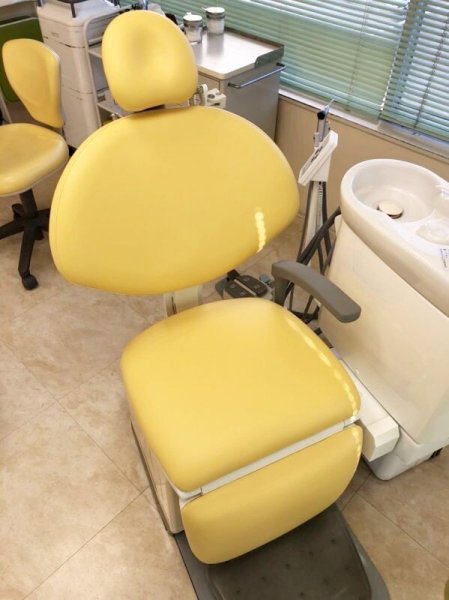 画像1: ヨシダ　デジリーナ　通常張替（L-8736） (1)