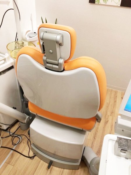 画像2: GC　イオムプラス　ふわもこ張替（L-8681） (2)