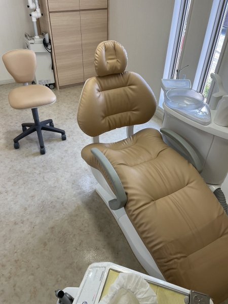 画像2: ヨシダ　ノバセリオ　ふっかふか張替　（L-6561）　 (2)