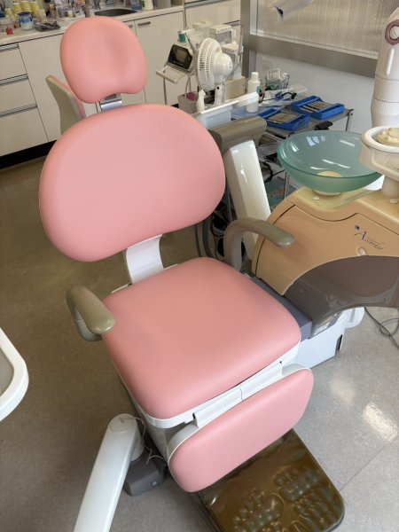 画像1: ケーオー　アコルデ　通常張替　(L-6570) (1)