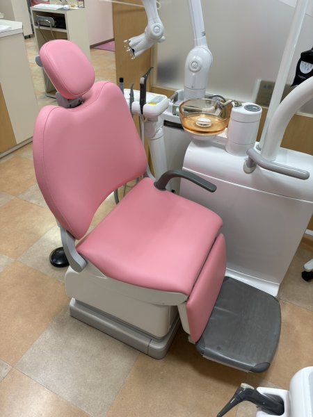 画像1: GC　イオムレガロ　通常張替（L-6576)　 (1)